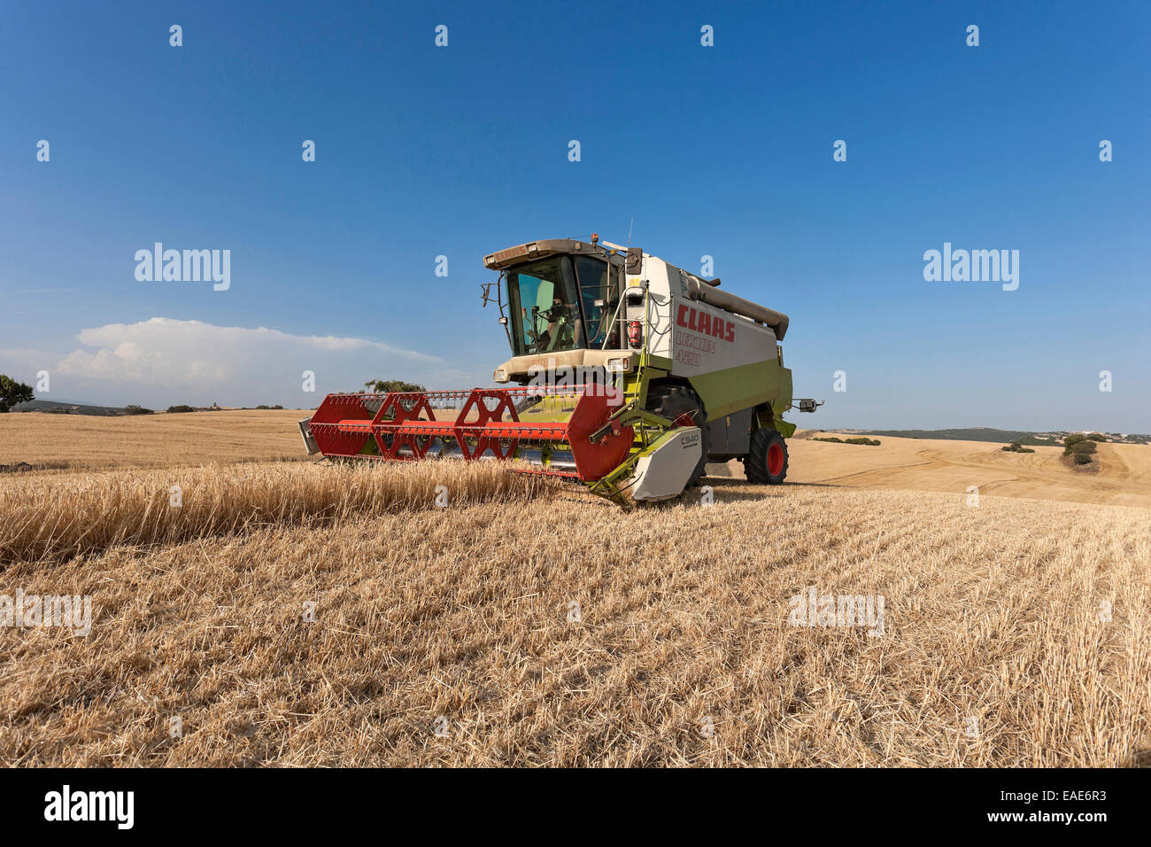 Mähdrescher Stockfoto