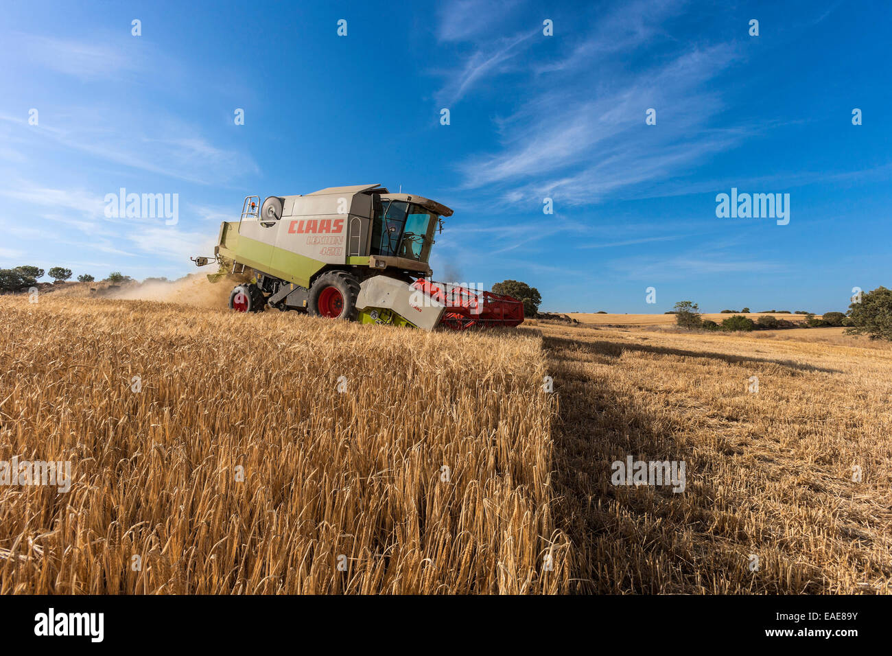 Mähdrescher Stockfoto