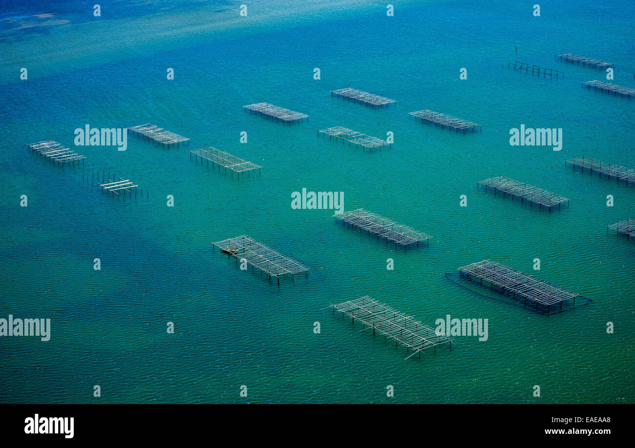 Luftbild, Austern- und Muschelzucht in Étang de Leucate, Lagune von Leucate, Zentrum Ostréicole Leucate Stockfoto