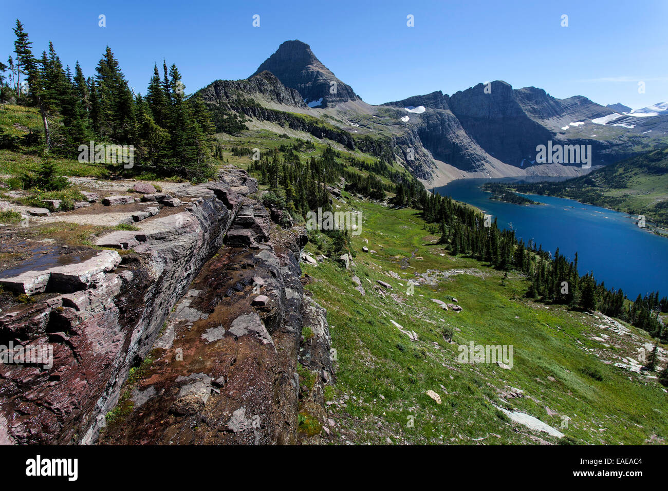 Versteckten See mit Reynolds Bergen, Glacier National Park, Montana, Vereinigte Staaten von Amerika Stockfoto