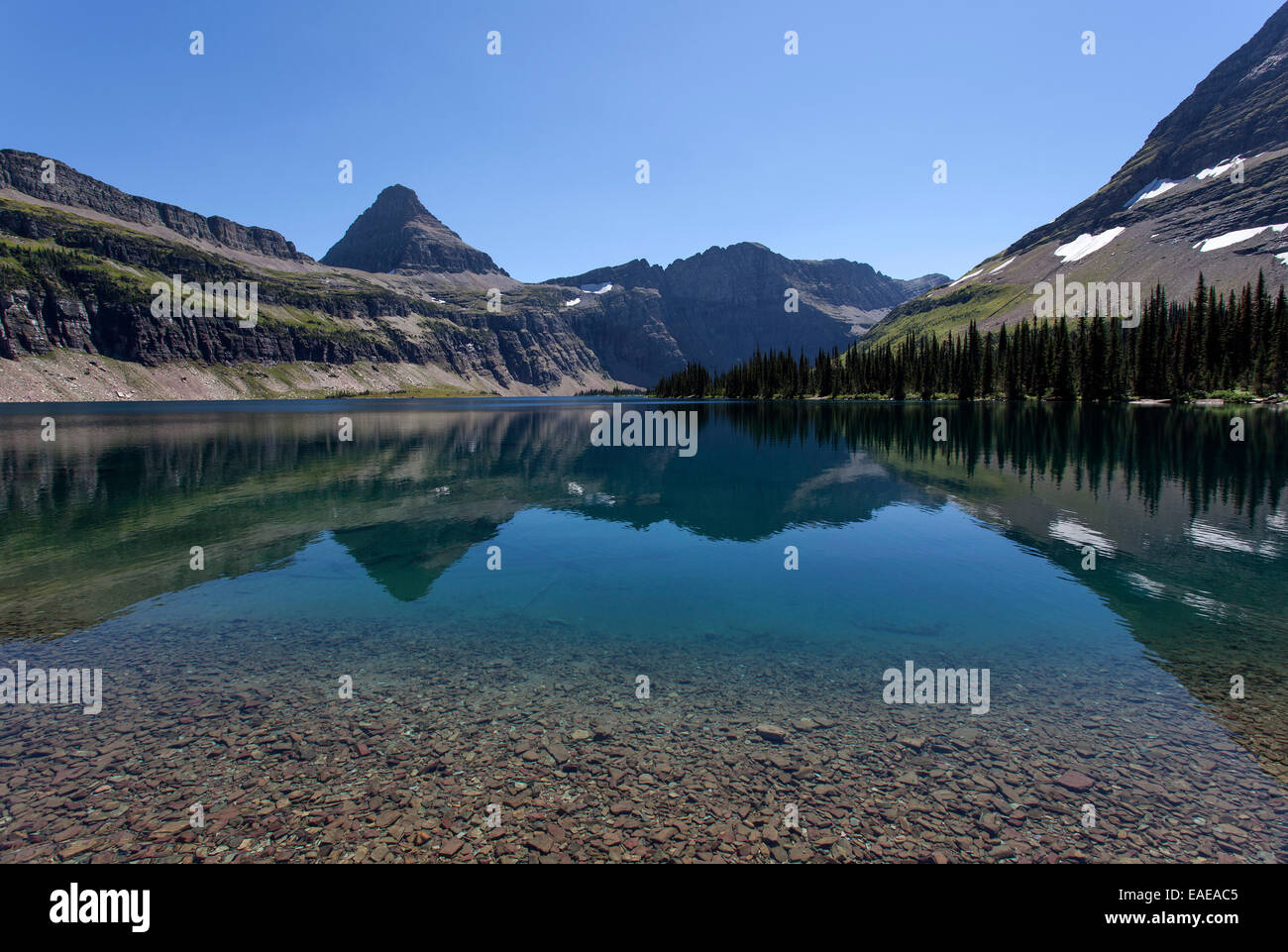 Versteckten See mit Reynolds Bergen, Glacier National Park, Montana, Vereinigte Staaten von Amerika Stockfoto
