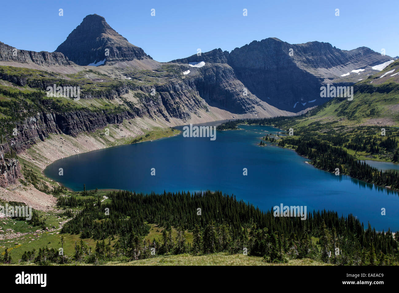 Versteckten See mit Reynolds Bergen, Glacier National Park, Montana, Vereinigte Staaten von Amerika Stockfoto