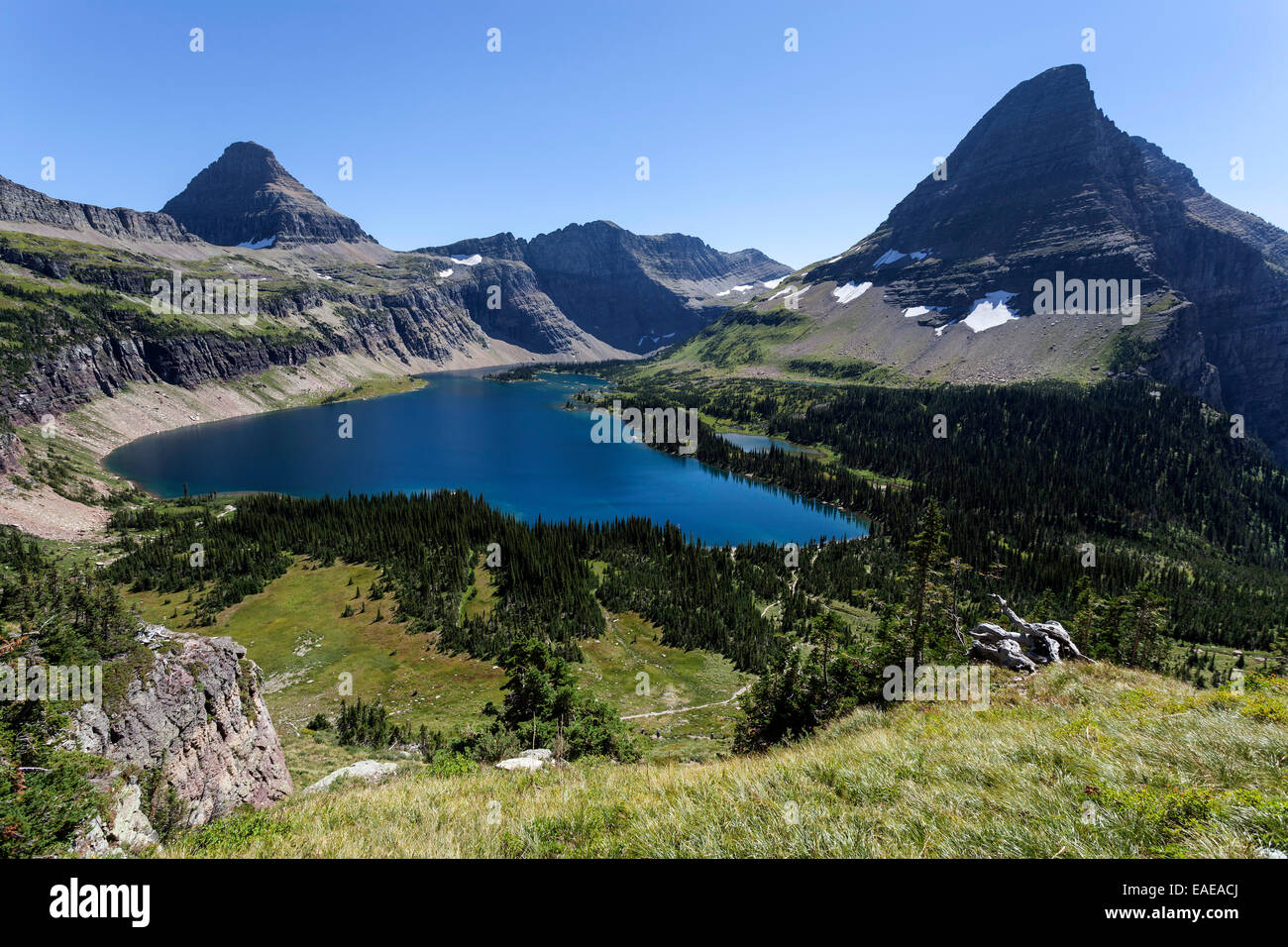 Versteckten See mit Reynolds Mountains und Bearhat, Glacier National Park, Montana, Vereinigte Staaten von Amerika Stockfoto
