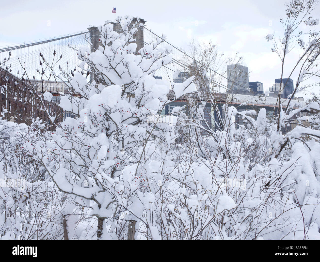 Schneebedeckte Bäume im Park und Brooklyn Bridge am Morgen nach einem Schneesturm. Stockfoto