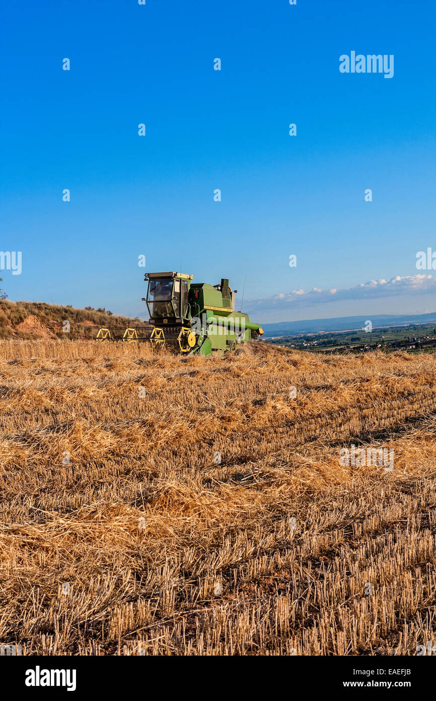 Mähdrescher Stockfoto