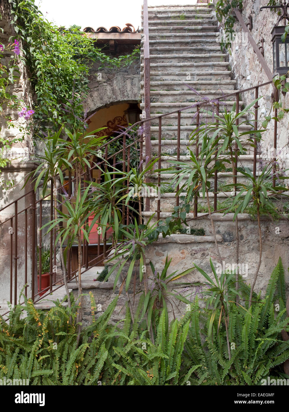 Treppe und Garten von mexikanischen Steinhaus Stockfoto
