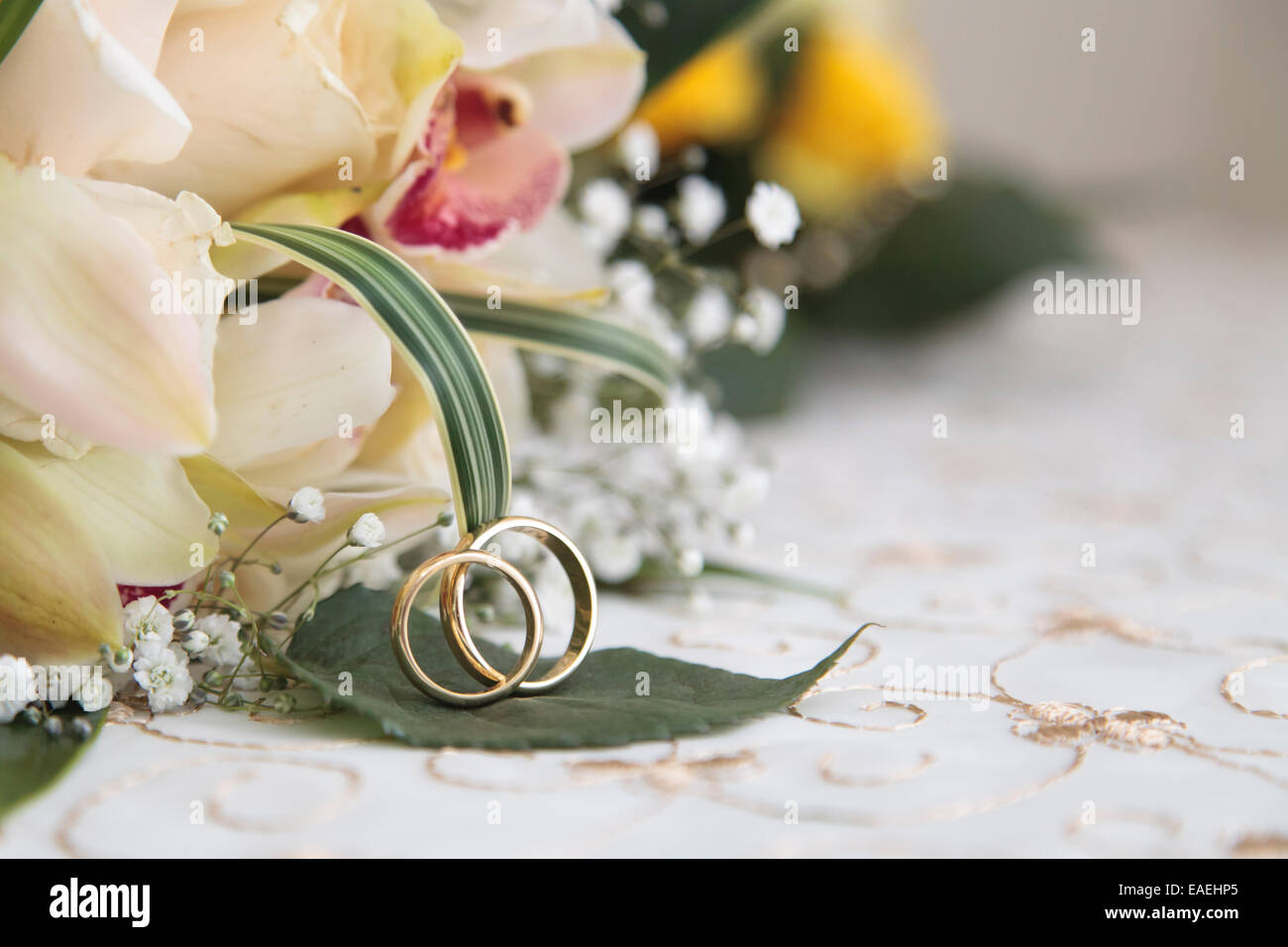 Ringe. Stockfoto