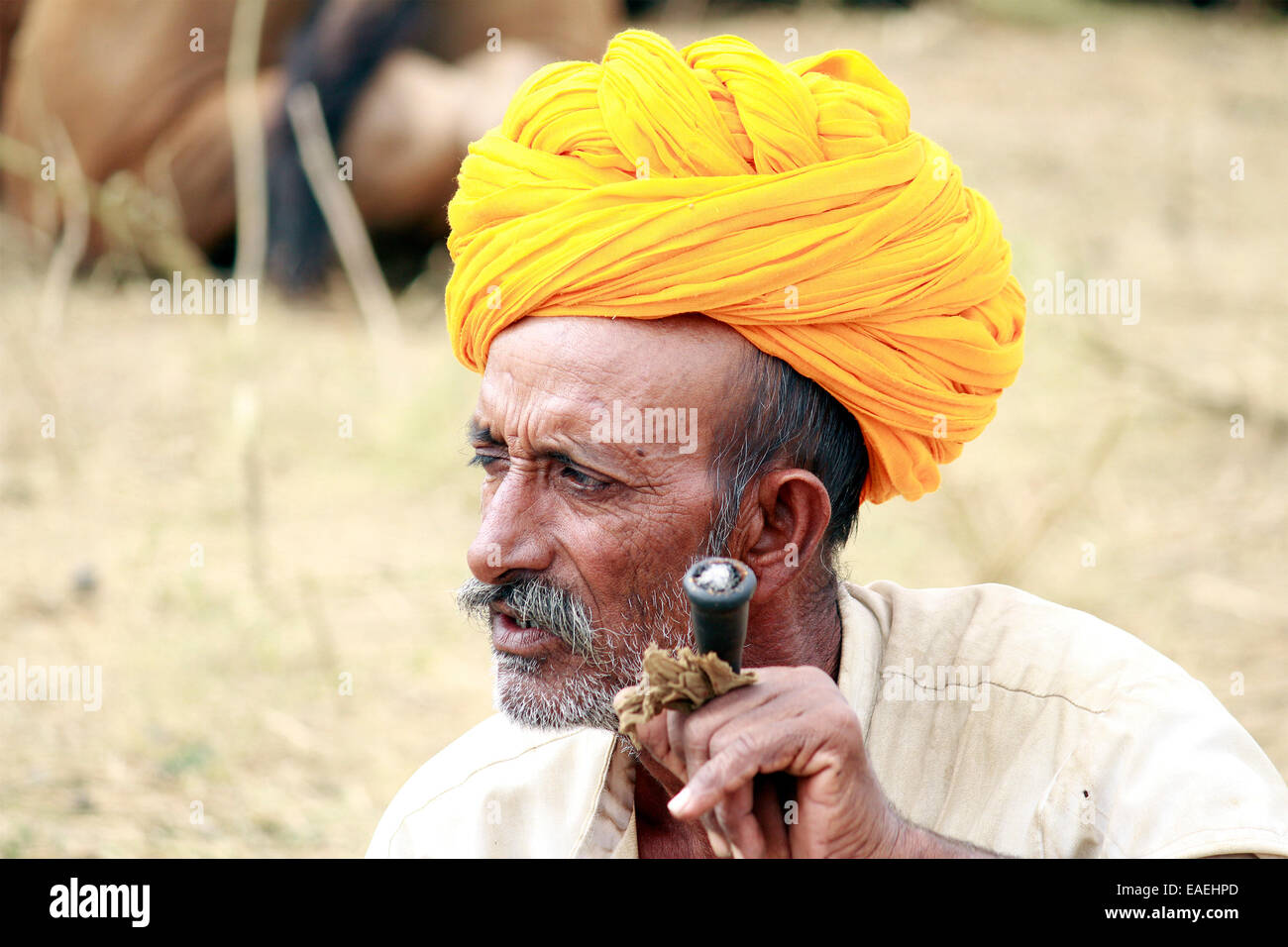 Turban, indische, Männlich, Alter Mann, Dorfbewohner, Schnurrbart, Bart in Pushkar, Rajasthan, Indien. Stockfoto