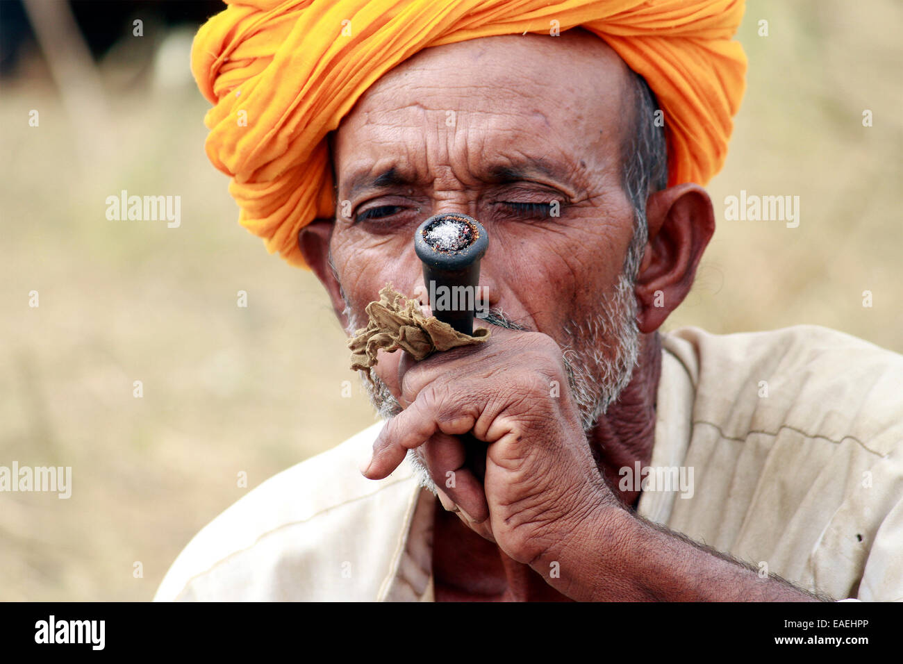Turban, indische, Männlich, Alter Mann, Dorfbewohner, Schnurrbart, Bart in Pushkar, Rajasthan, Indien. Stockfoto