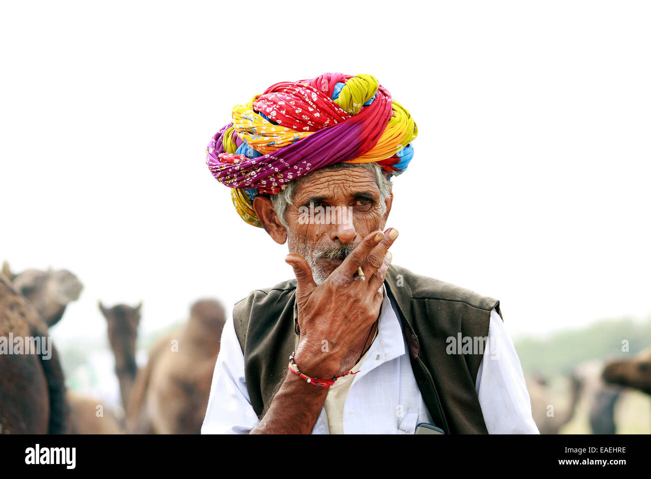 Turban, indische, Männlich, Alter Mann, Dorfbewohner, Schnurrbart, Bart in Pushkar, Rajasthan, Indien. Stockfoto
