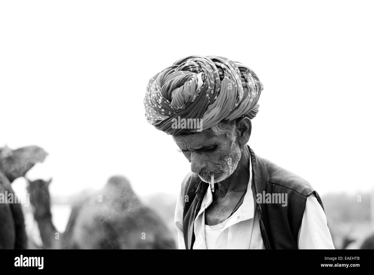 Turban, indische, Männlich, Alter Mann, Dorfbewohner, Schnurrbart, Bart in Pushkar, Rajasthan, Indien. Stockfoto