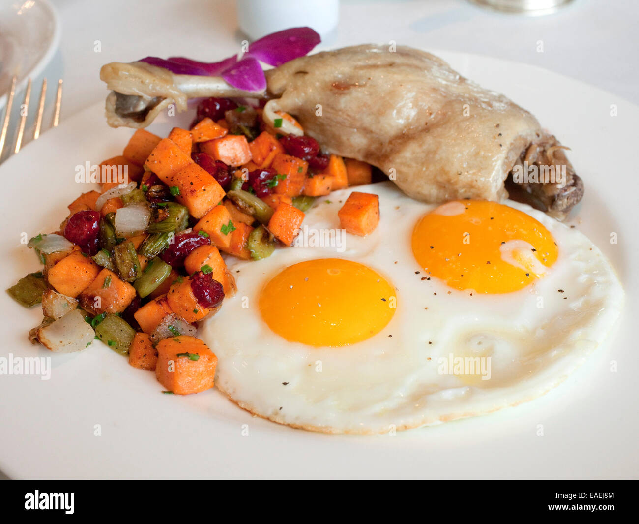 Sonnenseite Ei-Frühstück mit Enten-Confit, Karotten, Sellerie und Preiselbeeren. Stockfoto