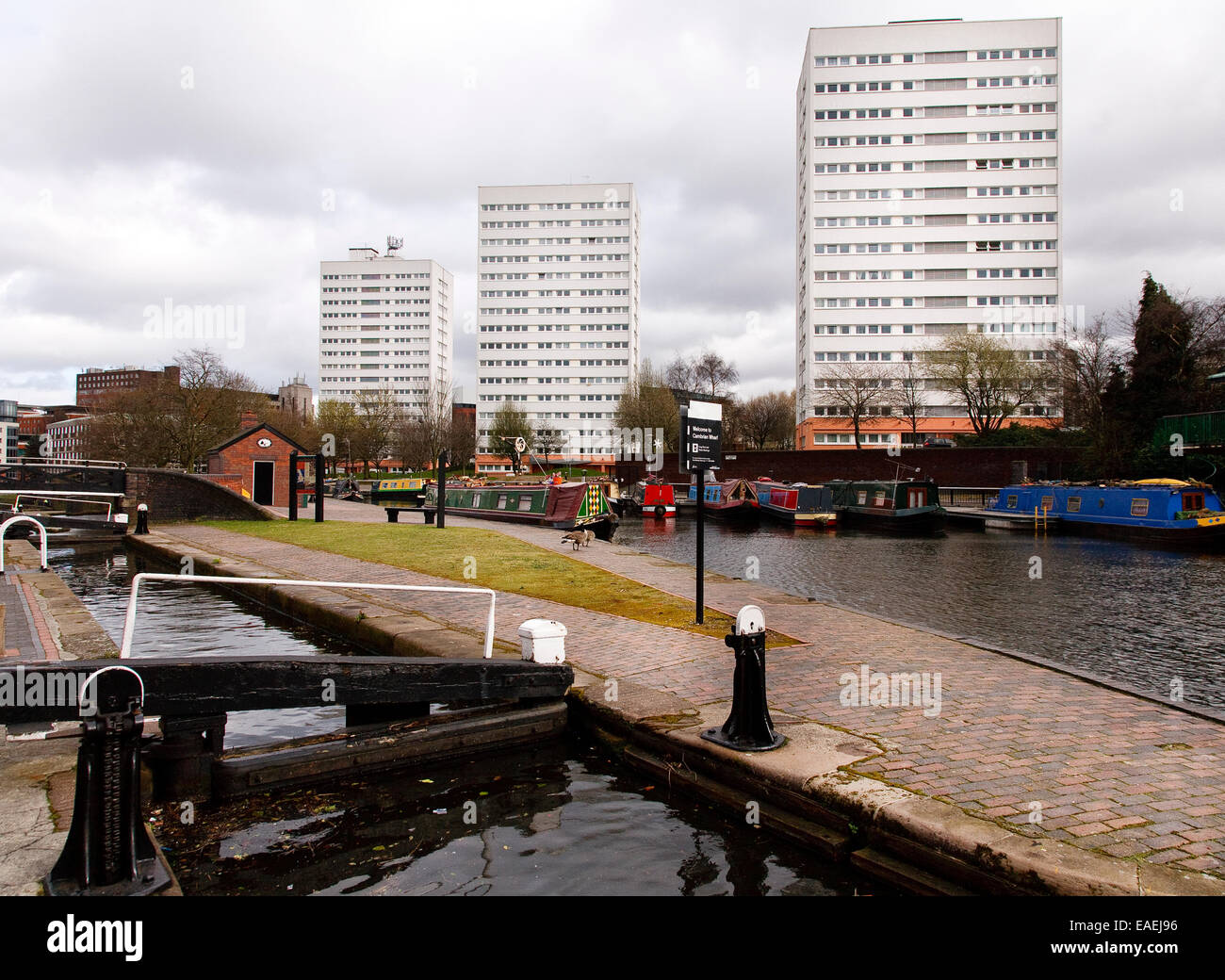 Mehrfamilienhäuser, Narrowboats und ein Cambrian Wharf Becken auf der Birmingham und Fazeley Kanal im Zentrum von Birmingham England Stockfoto