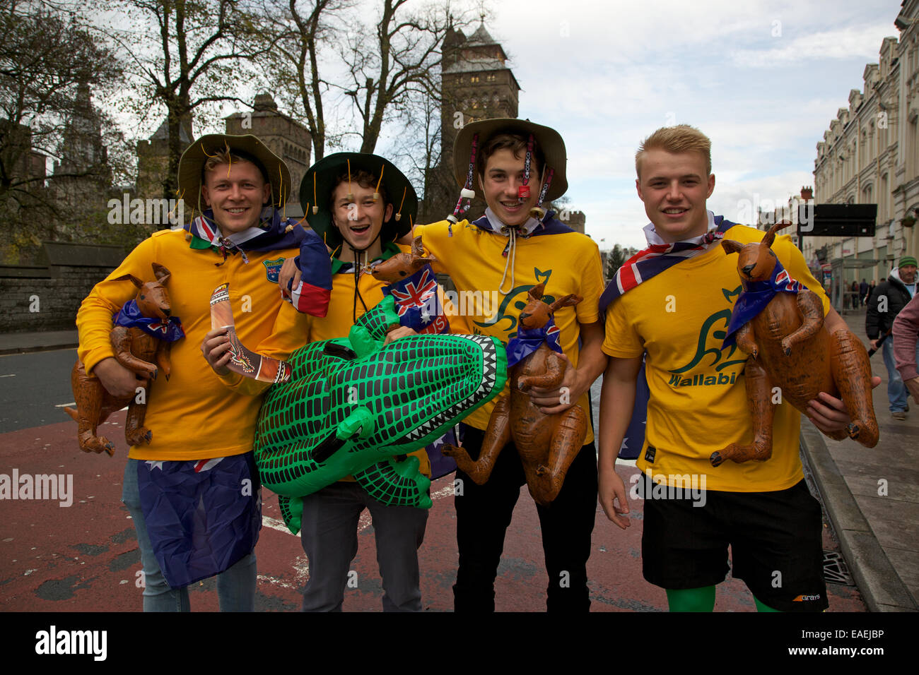 Australian Rugby Unoin Supporterd vor dem Eröffnungsspiel der "Herbst International Sesaon" zwischen Wales und Australien. Stockfoto