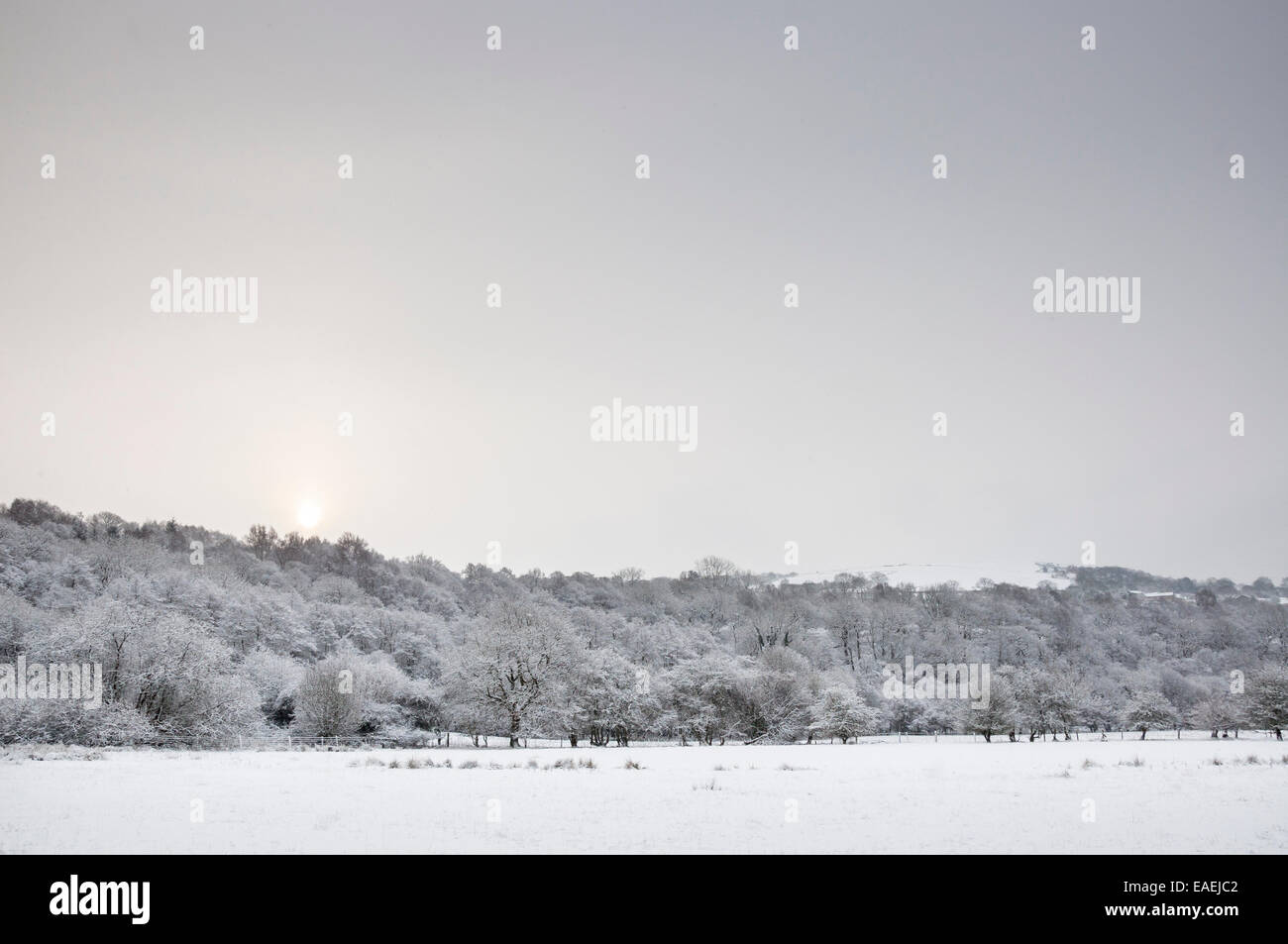 Sonnenlicht Leuchten in einem grauen Winterhimmel. Eine verschneite Landschaft von Wäldern und Feldern. Stockfoto