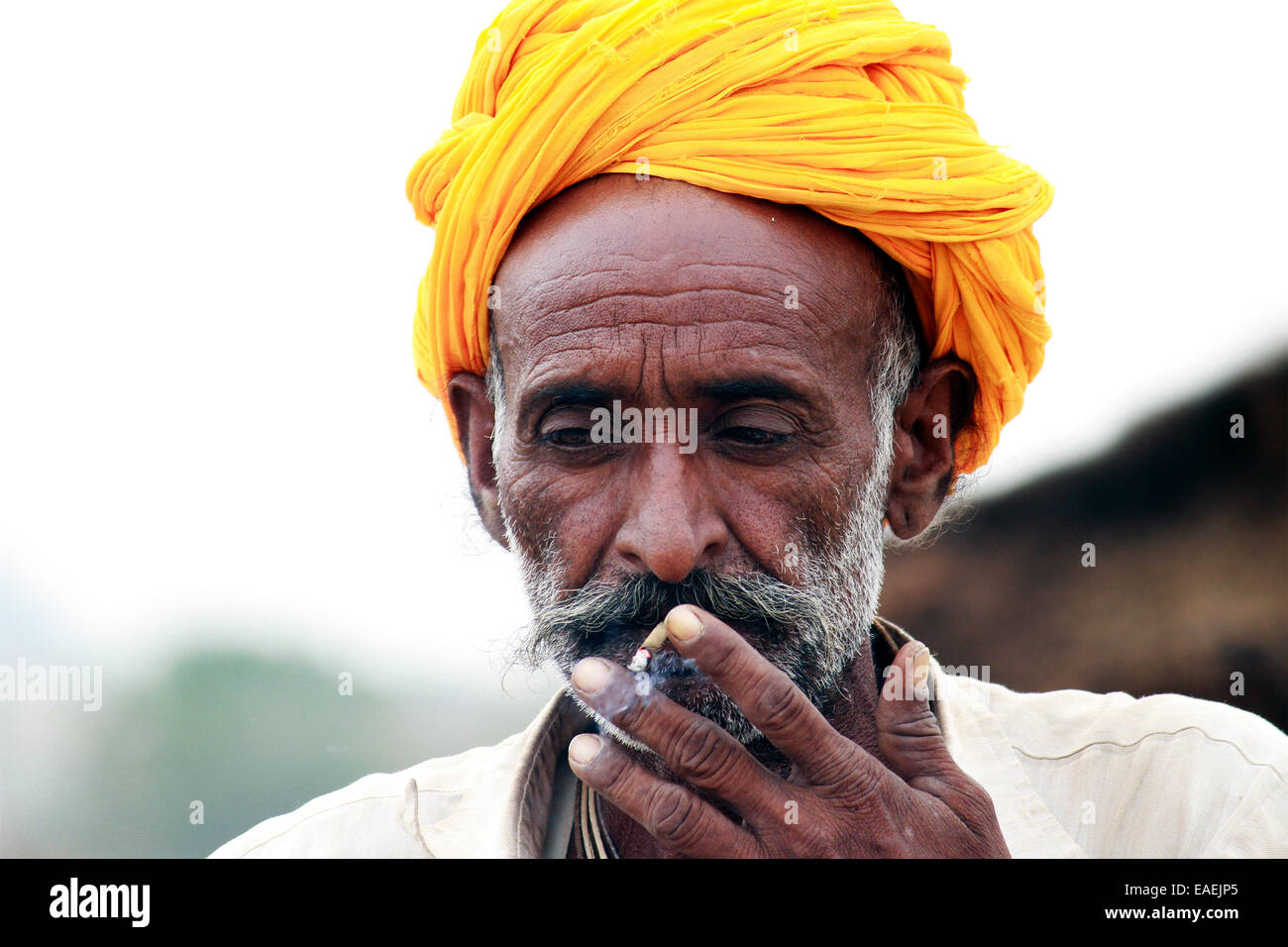 Turban, indische, Männlich, Alter Mann, Dorfbewohner, Schnurrbart, Bart in Pushkar, Rajasthan, Indien. Stockfoto