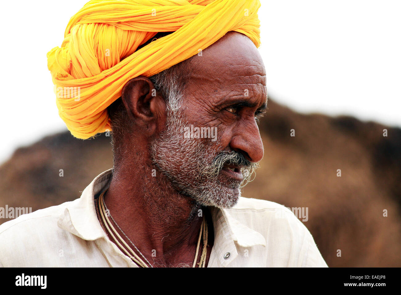 Turban, indische, Männlich, Alter Mann, Dorfbewohner, Schnurrbart, Bart in Pushkar, Rajasthan, Indien. Stockfoto