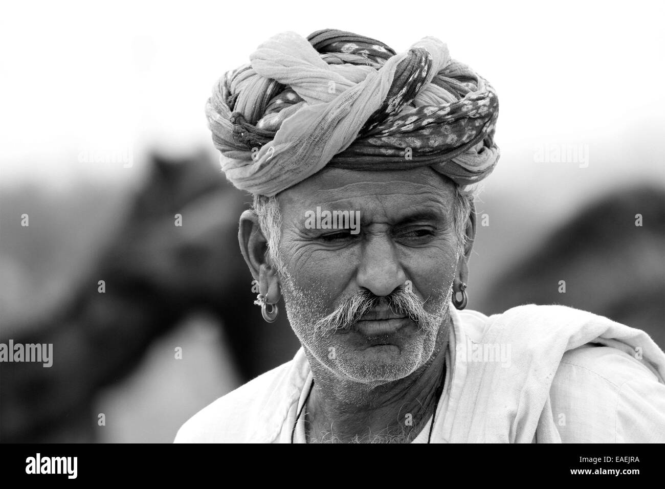 Turban, indische, Männlich, Alter Mann, Dorfbewohner, Schnurrbart, Bart in Pushkar, Rajasthan, Indien. Stockfoto