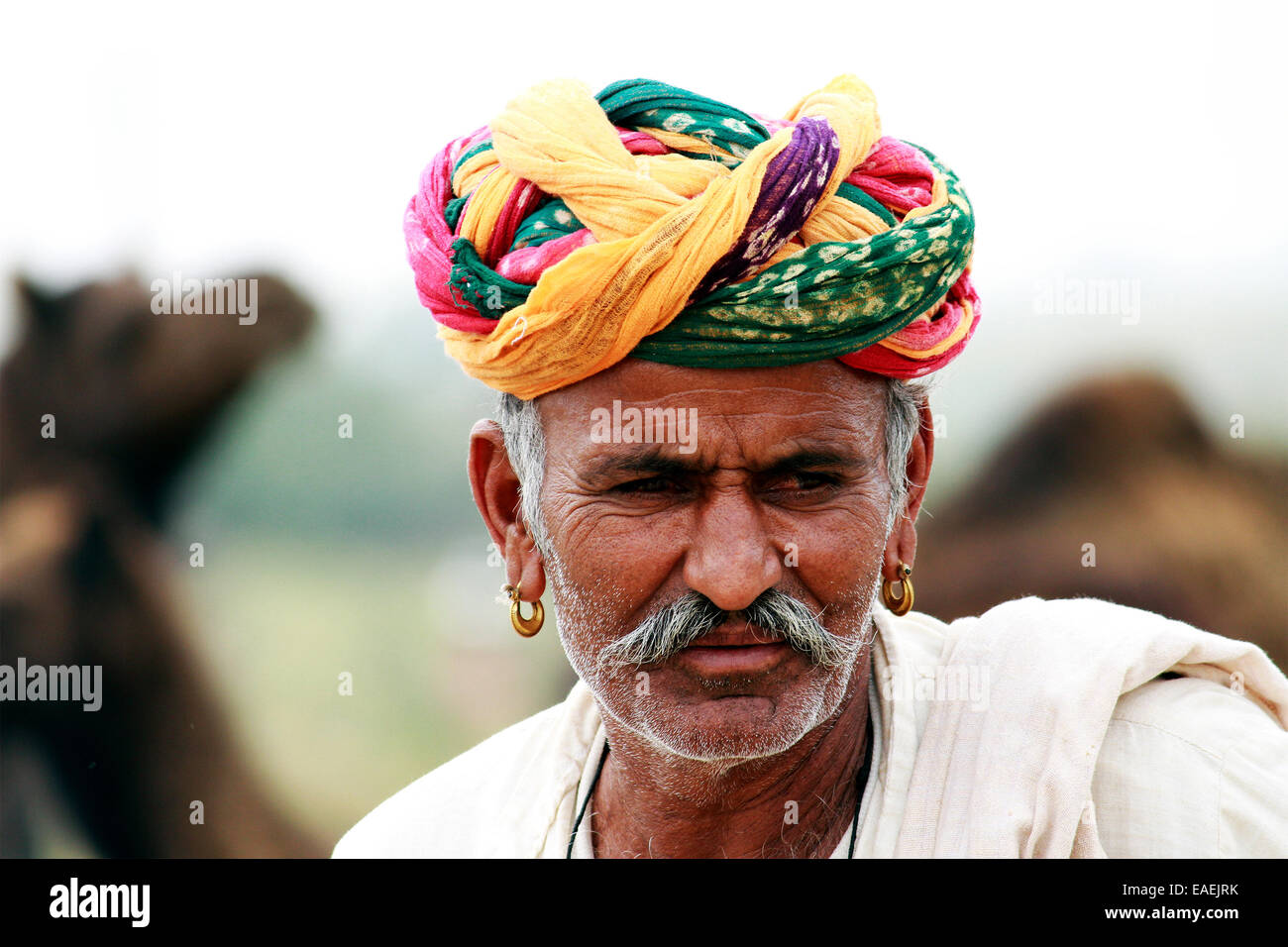 Turban, indische, Männlich, Alter Mann, Dorfbewohner, Schnurrbart, Bart in Pushkar, Rajasthan, Indien. Stockfoto