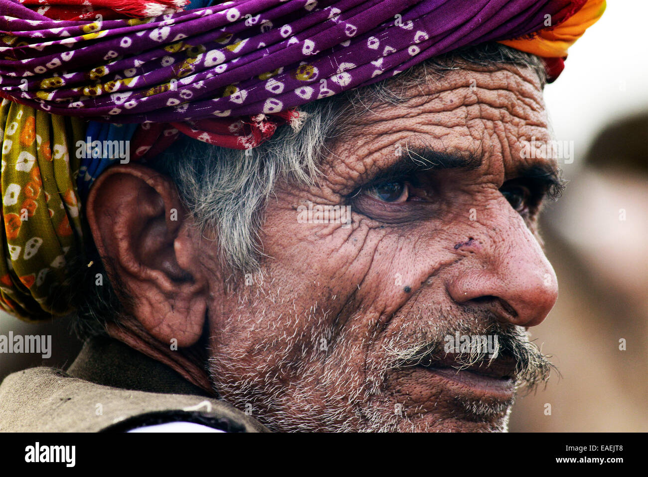 Turban, indische, Männlich, Alter Mann, Dorfbewohner, Schnurrbart, Bart in Pushkar, Rajasthan, Indien. Stockfoto