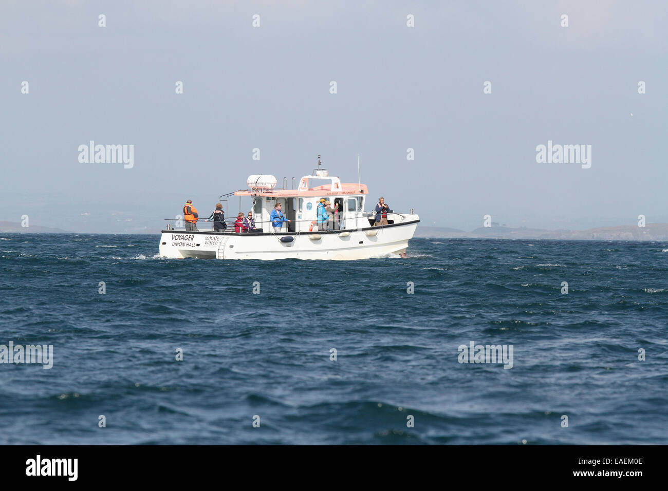 Wal Irland beobachten. Leute, Whale Watching vom Boot aus an einem sonnigen Tag auf dem Atlantik aus Irland. Stockfoto