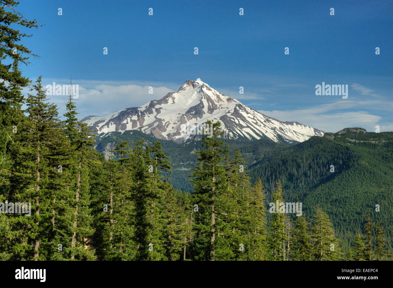 Oregons Mount Jefferson Stockfoto