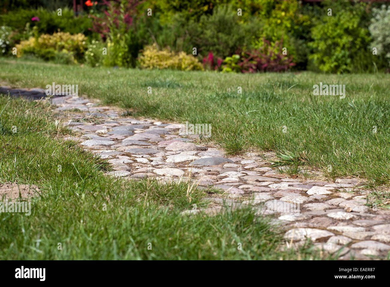 Landschaft-Design-Detail mit Steinweg unter grünen Rasen Stockfoto