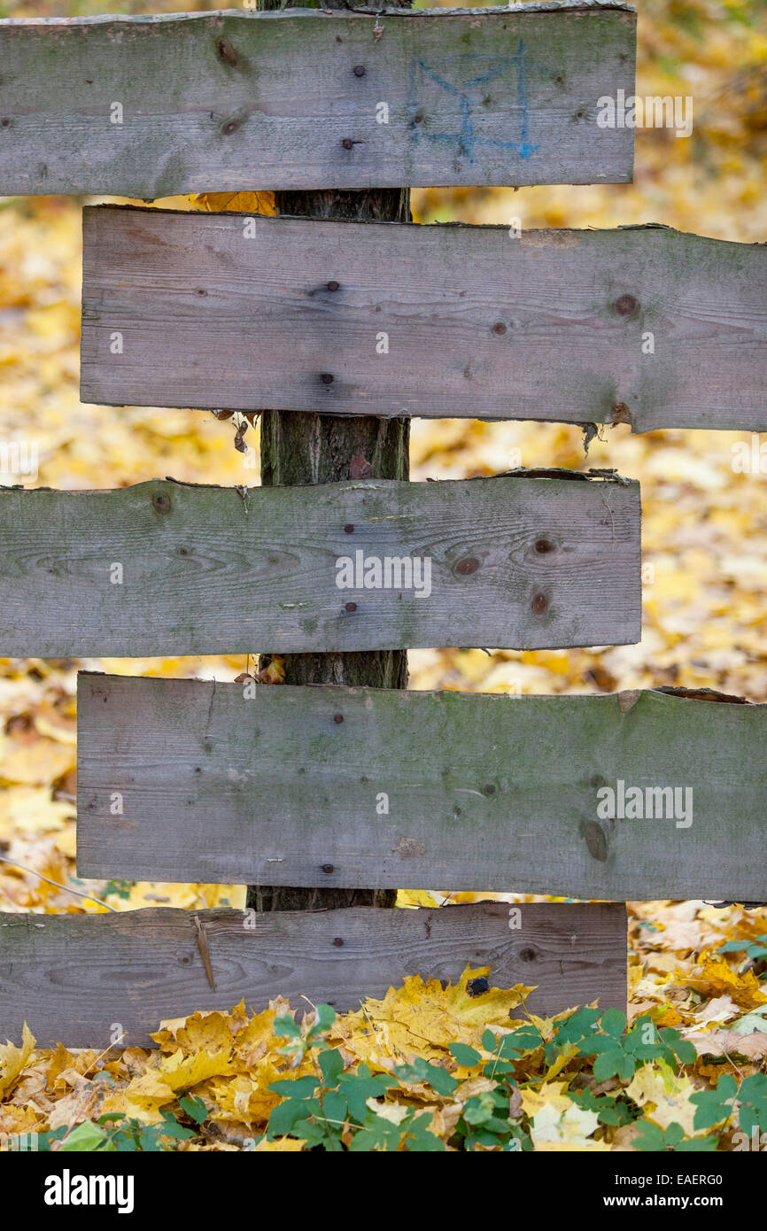 Holzzaun im Herbst Holzzaun Stockfoto