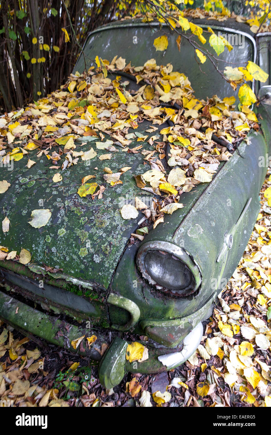 Verlassenes tschechisches altes Auto Skoda 1000 mb bedeckt mit heruntergefallenen Blättern Old Car Herbst Stockfoto