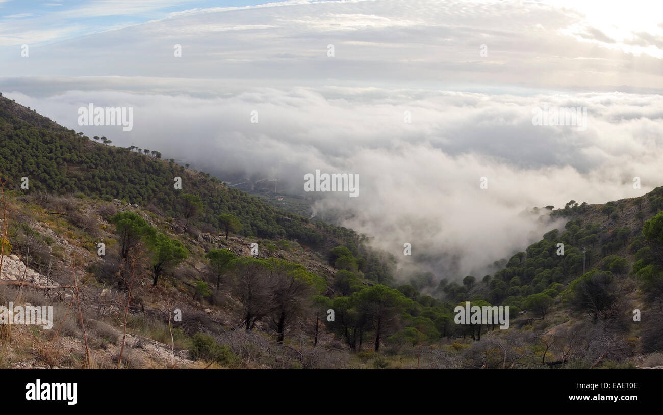 Niedrige Stratuswolken vom Meer betreten Festland Kiefer Bäume Berge tiefe Wolken, Mijas, Spanien, Andalusien. Stockfoto