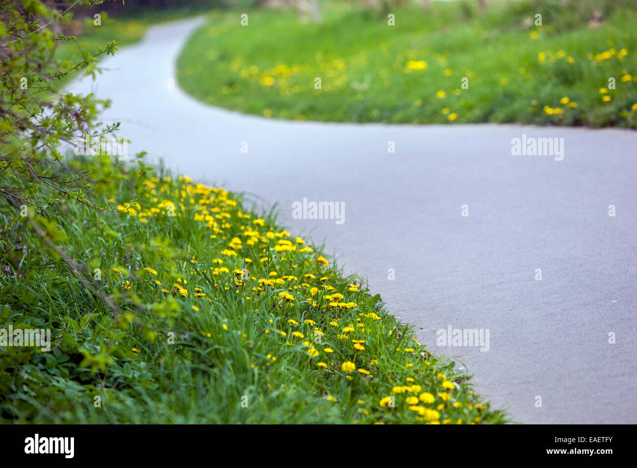 Der Asphalt Straße Landschaft Stockfoto