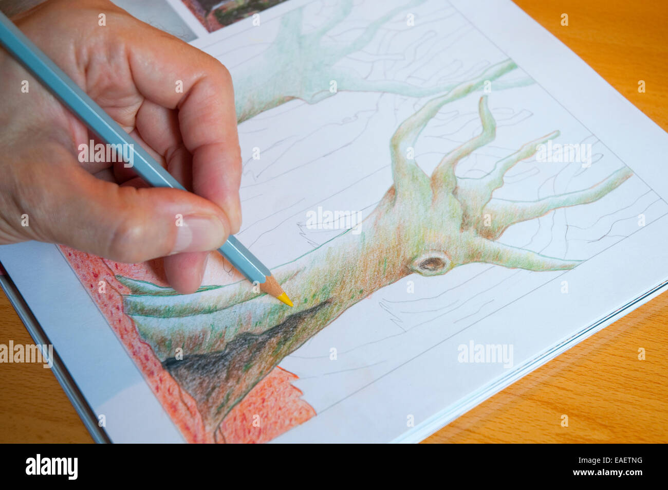 Mannes Handzeichnung mit Farbstift. Schließen Sie die Ansicht. Stockfoto