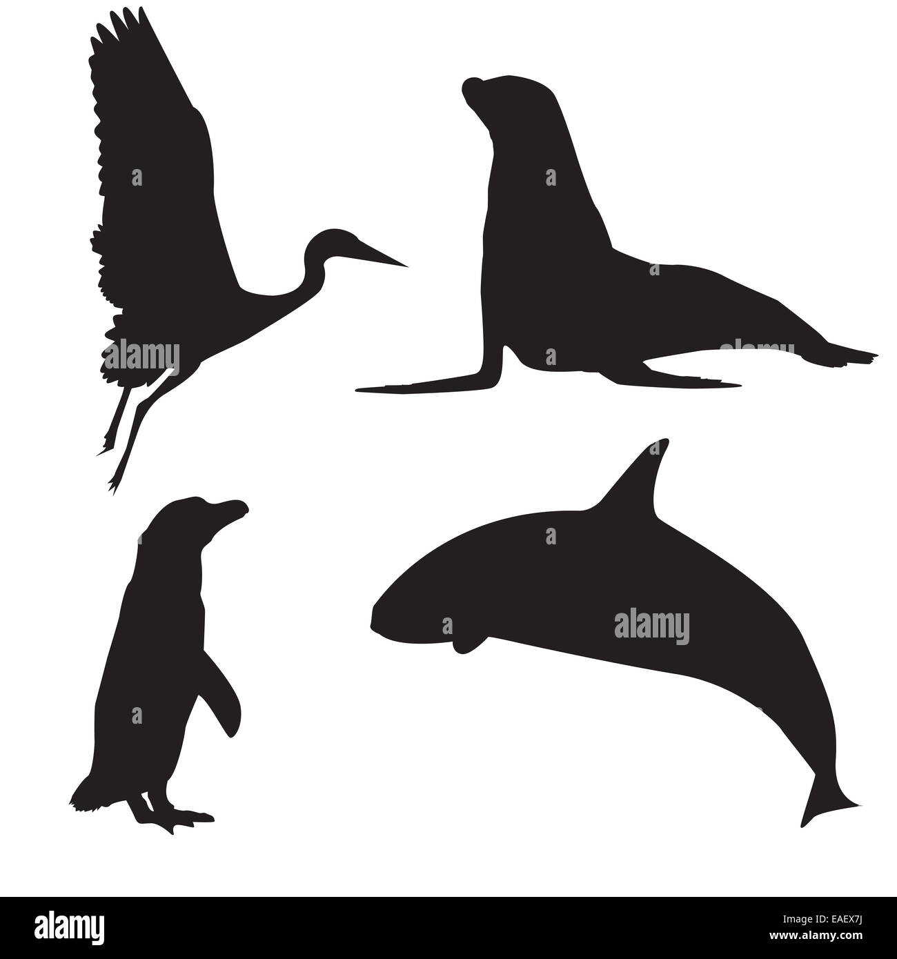 Silhouetten von Heron, Pinguin, Wal und Dichtung Stockfoto
