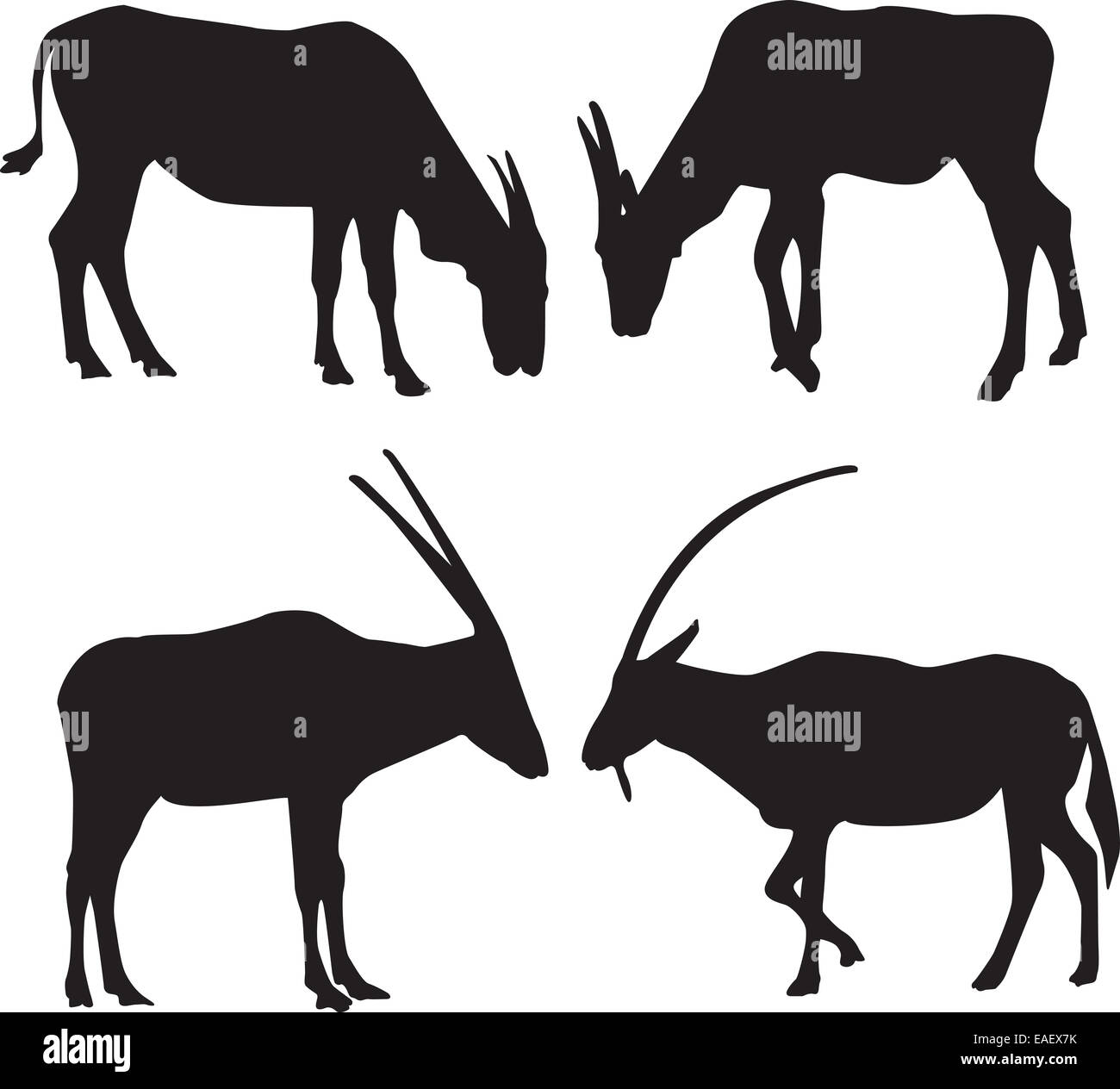 Antilope und Ziege schwarze Silhouetten isoliert Stockfoto