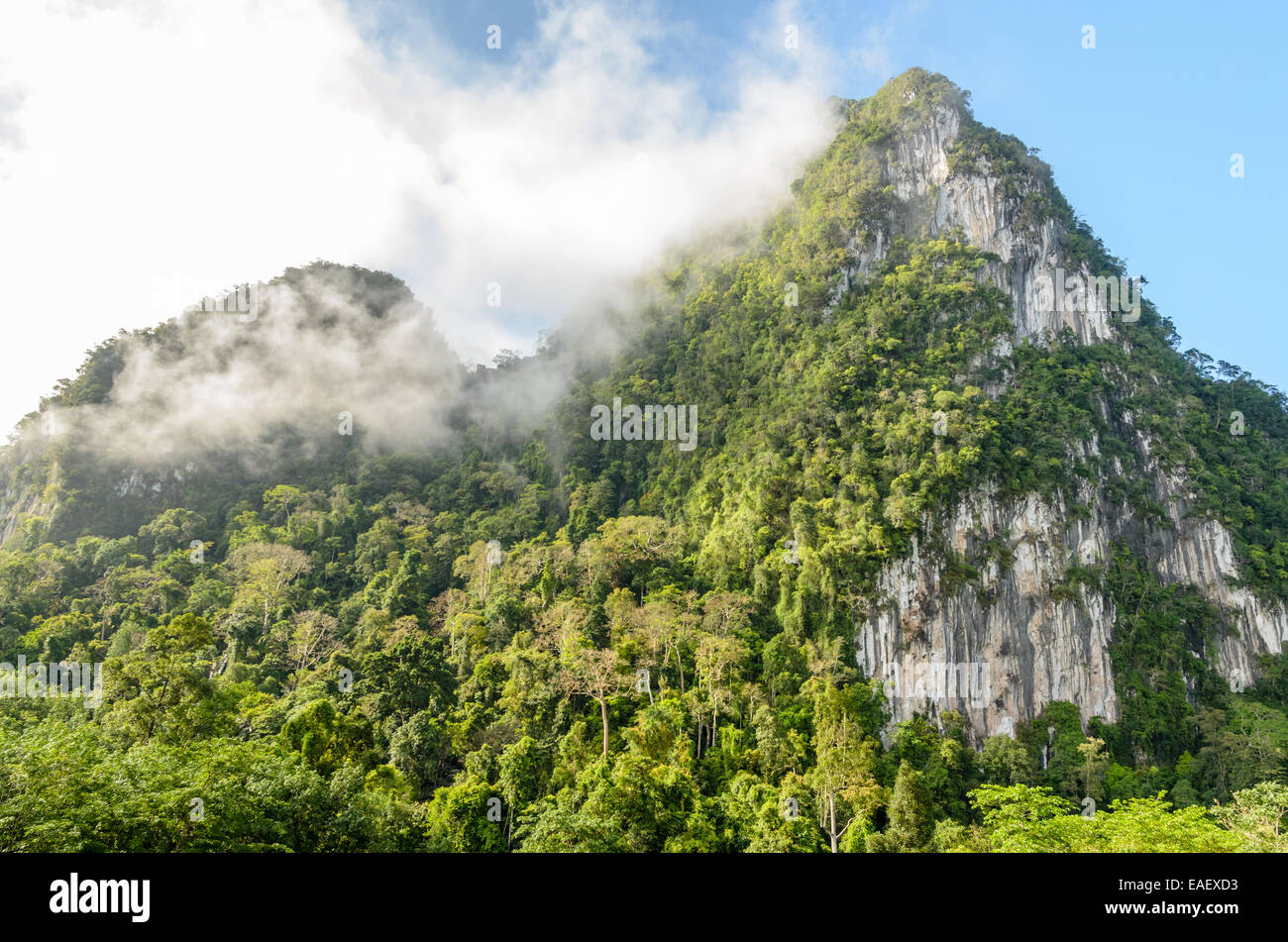Üppige hohen Kalkberg fallenden Nebel umgeben von tropischen Wäldern von Thailand Stockfoto
