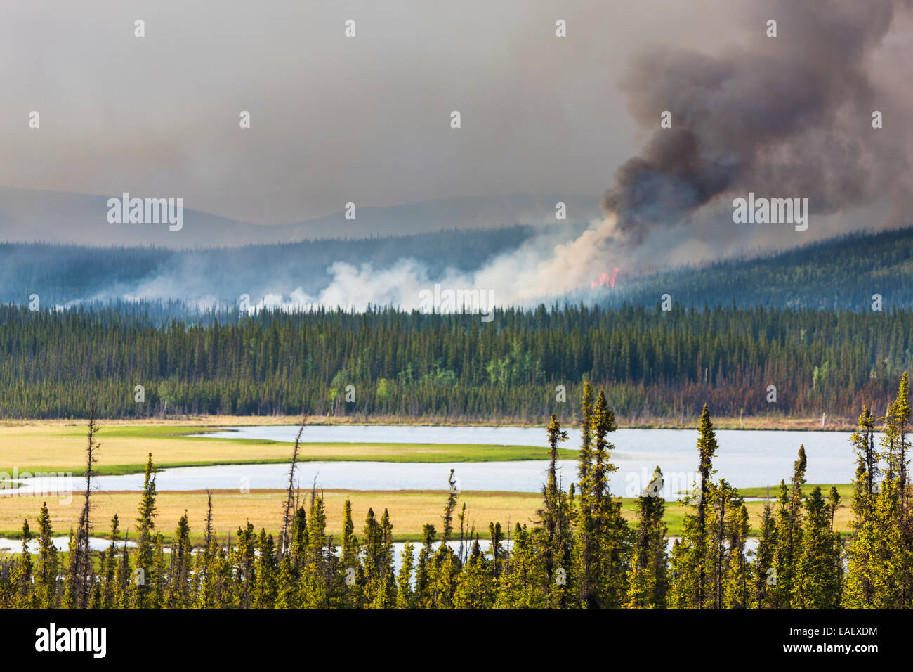 Tok and alaska Fotos und Bildmaterial in hoher Auflösung Alamy