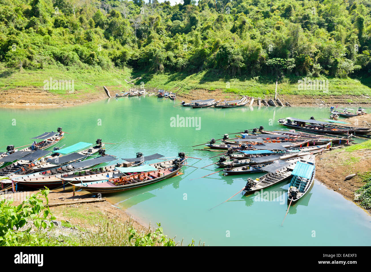 Gruppe Longtail-Boot warten auf die Touristen. Ratchaprapa oder Chiao Lan Stausee, Provinz Surat Thani, Thailand Stockfoto