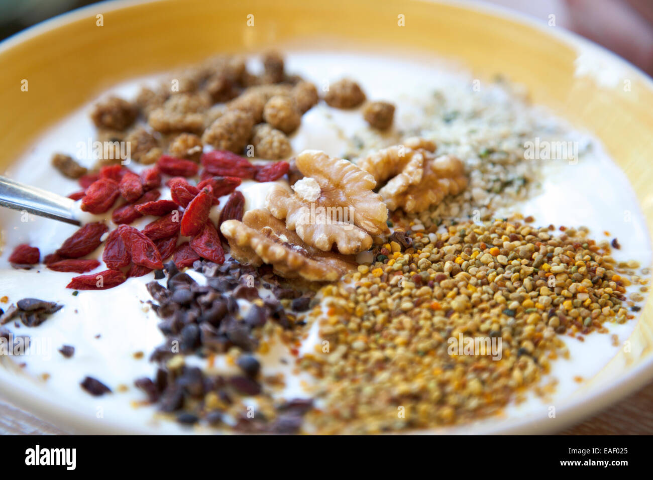 Gesunde Ernährung - Joghurt mit Goji-Beeren, Walnüsse, Maulbeeren, Pollen und rohen Kakaobohne Stockfoto