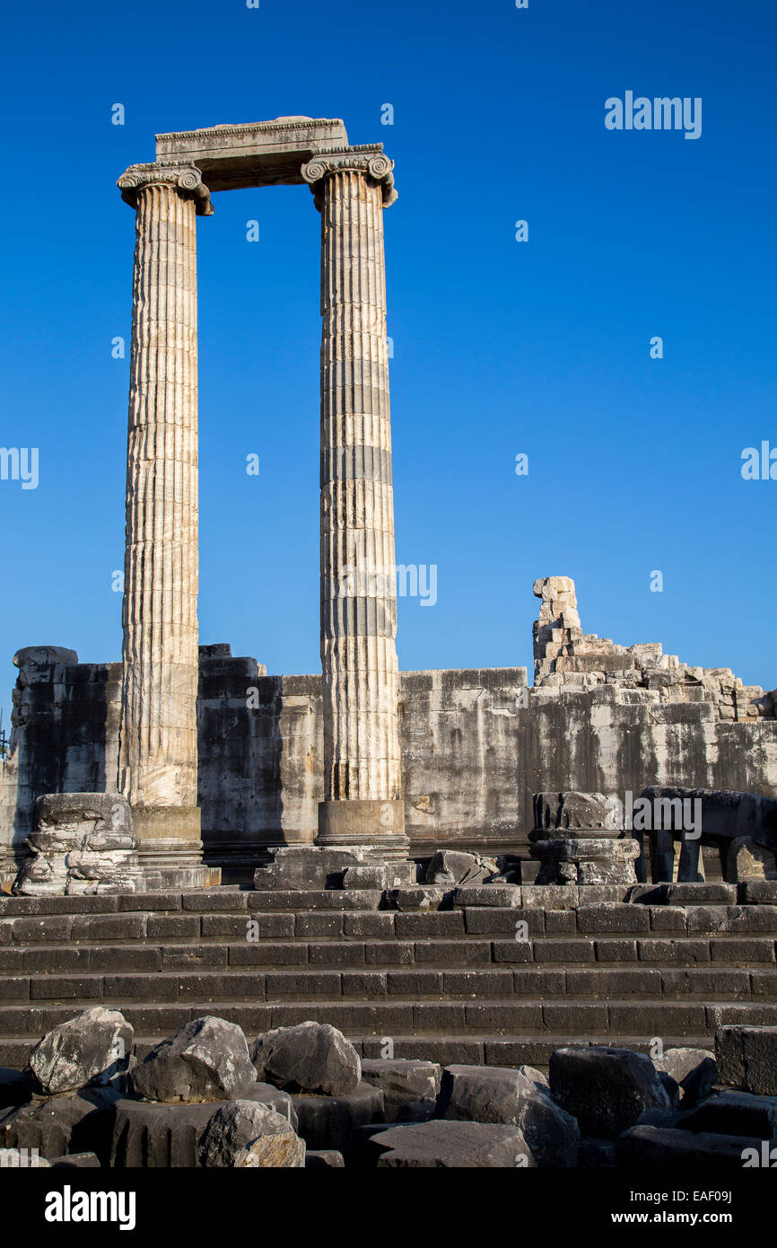 Geschichte-Spalte der Apollo antike Stadt in Didyma Türkei 2014 Stockfoto