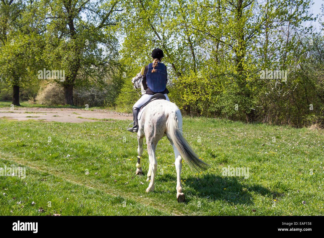 Cowgirl Sweatshirt Mit Pferd Design - Reitpferd In Wildblumen Feld Print
