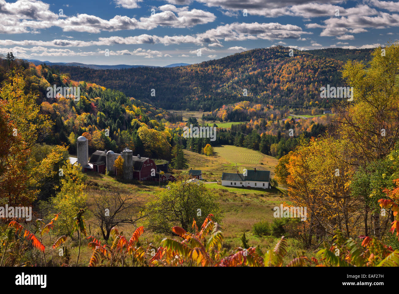 Hillside Hektar landwirtschaftliche Tal Felder Barnet Center Vermont USA mit Bäumen in bunten Herbstfarben und Wolken über Anderson Hügel Stockfoto