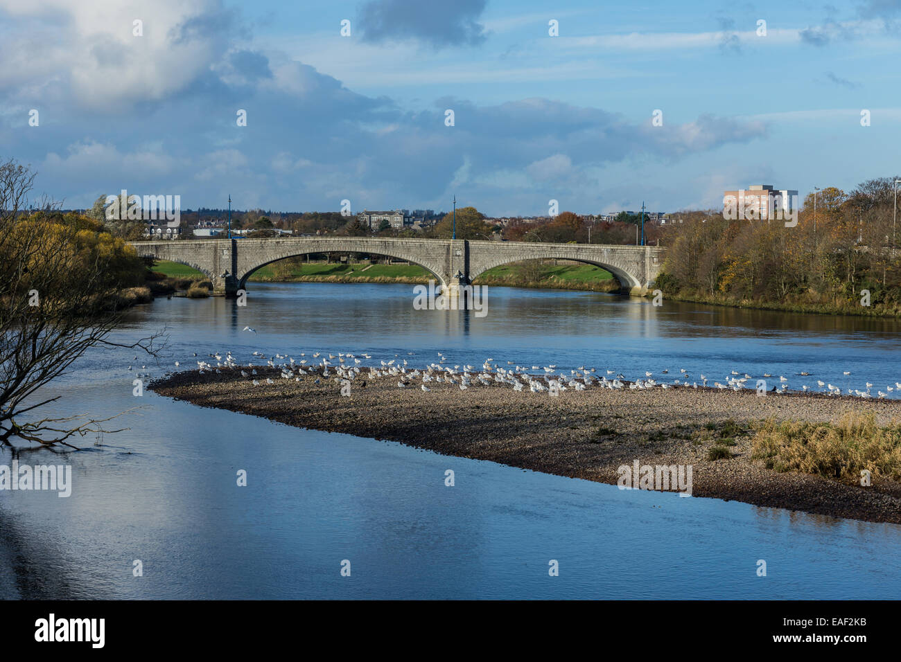 George der Sixth Brücke und Möwen. Stockfoto