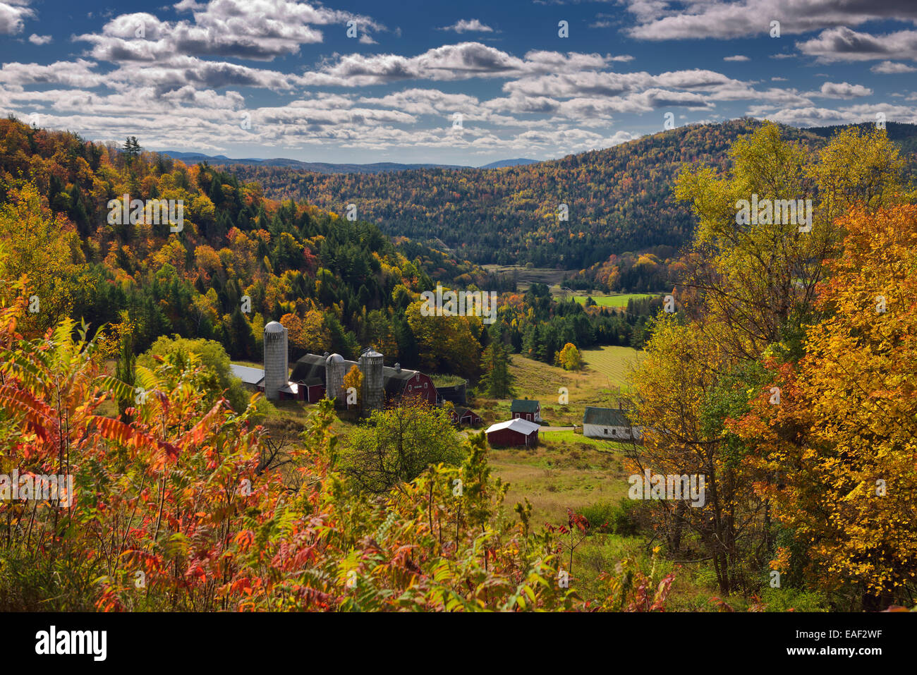 Hillside Acres Farm im Tal am Barnet Center Vermont USA mit Bäumen mit bunten Herbstfarben Stockfoto