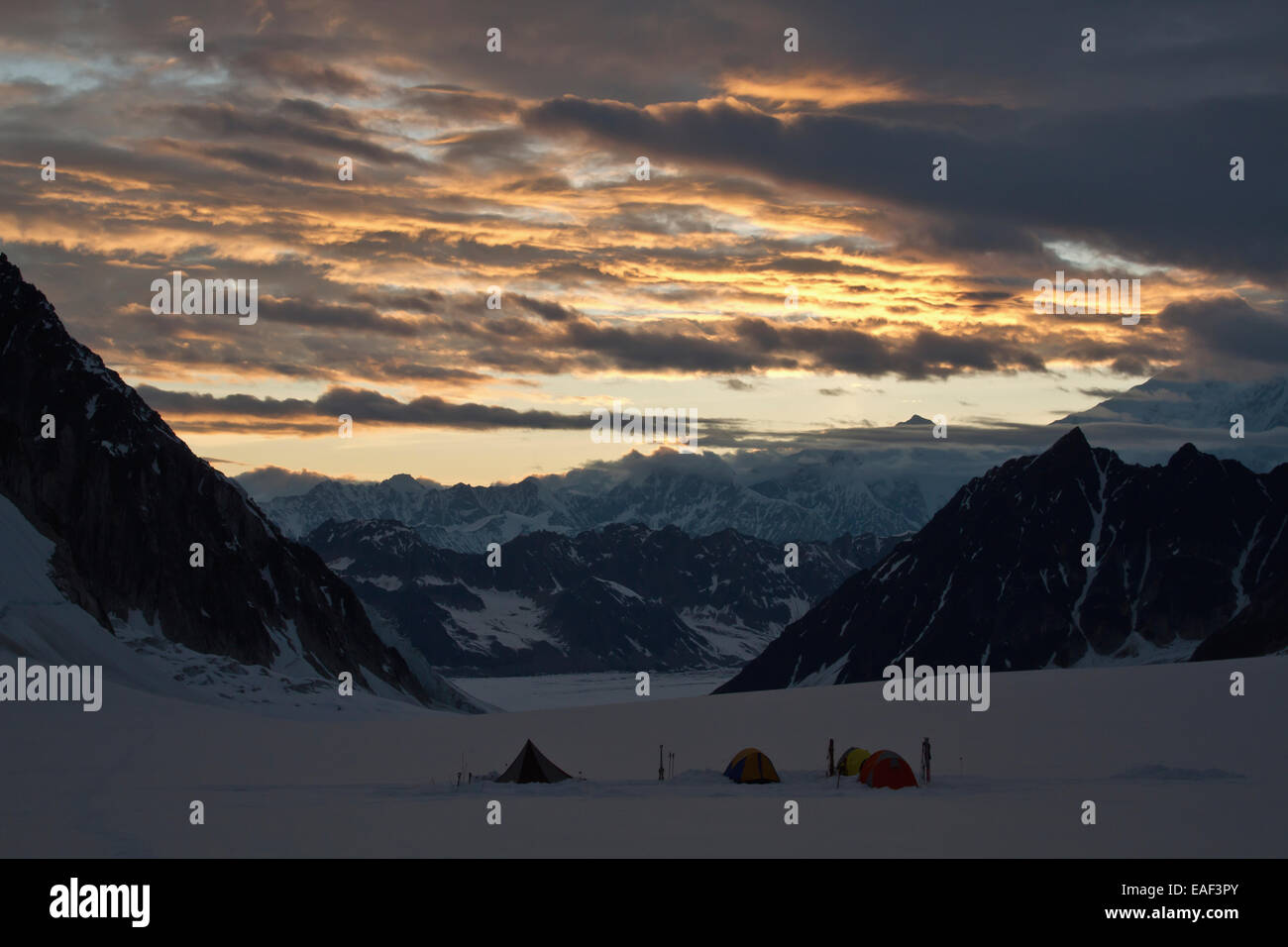 Basislager auf Pika Gletscher, kleine Schweiz, Denali Nationalpark und Reservat, Alaska Range, Alaska Interior Stockfoto