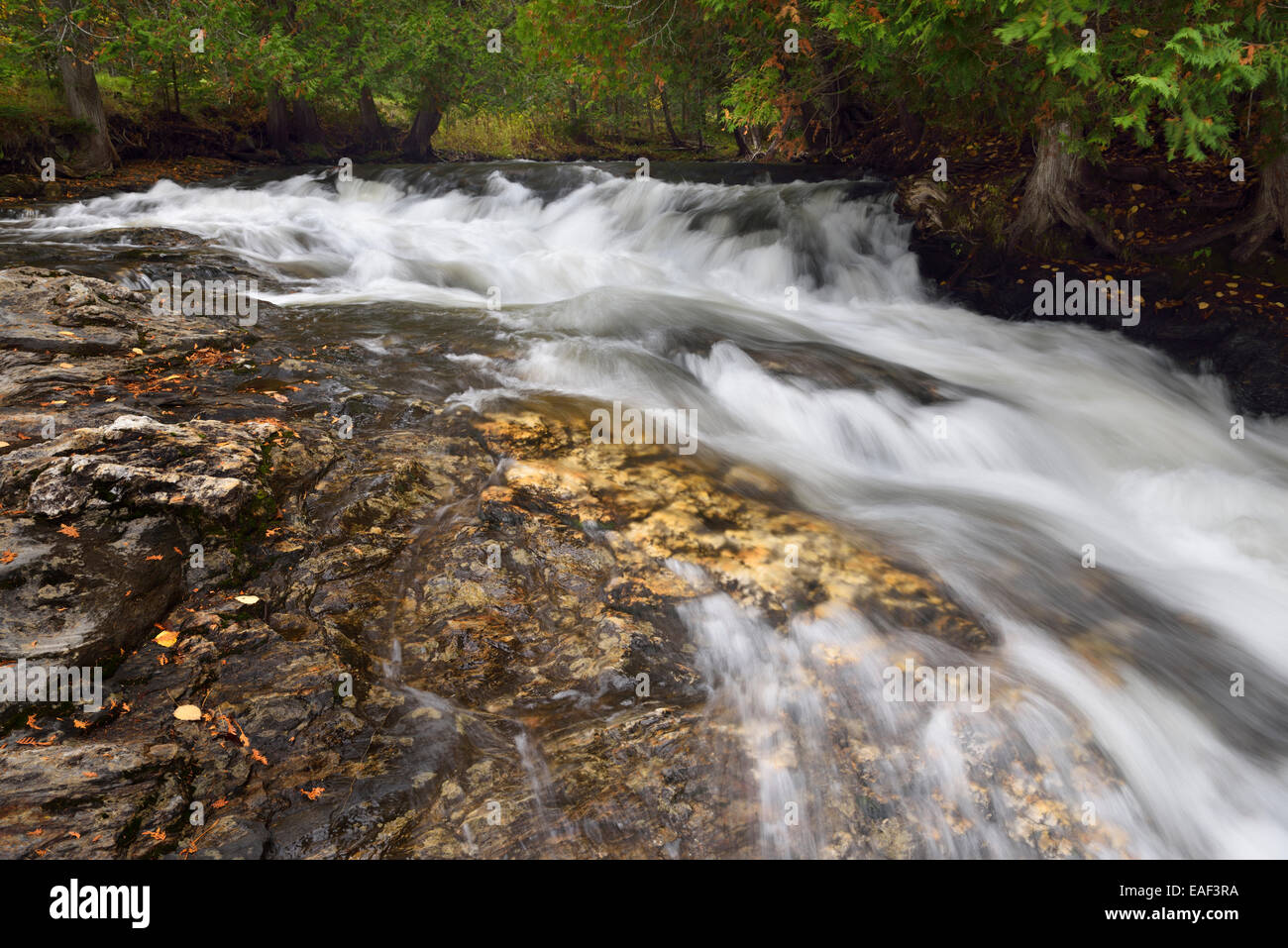 Joes Brook Stromschnellen Wasserfälle über Felsen am Greenbanks hohlen Süd Danville Vermont USA im Herbst Stockfoto