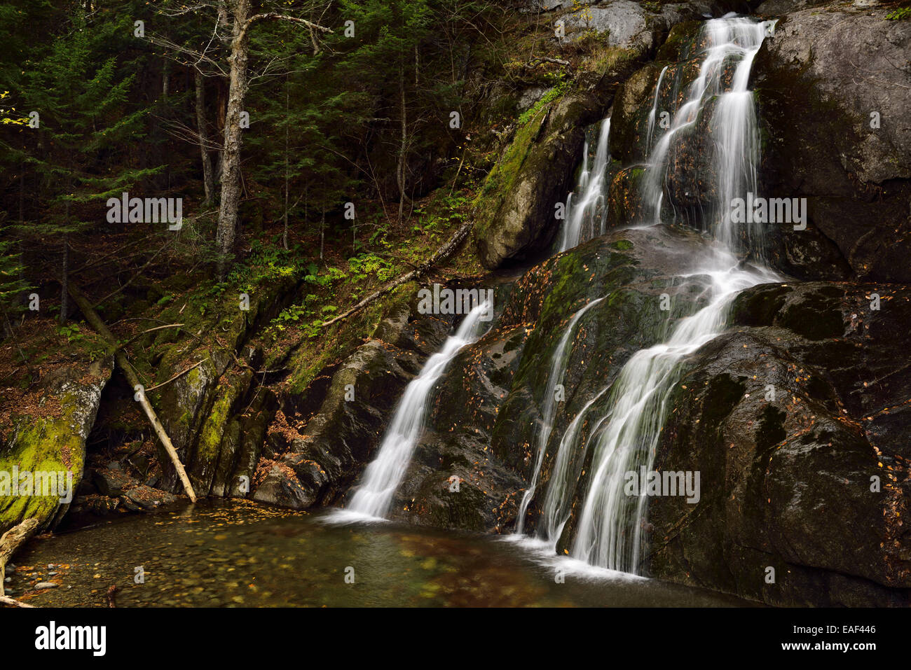 Moos Glen fällt Naturgebiet Wasserfall auf Autobahn 100 Granville Vermont USA Stockfoto