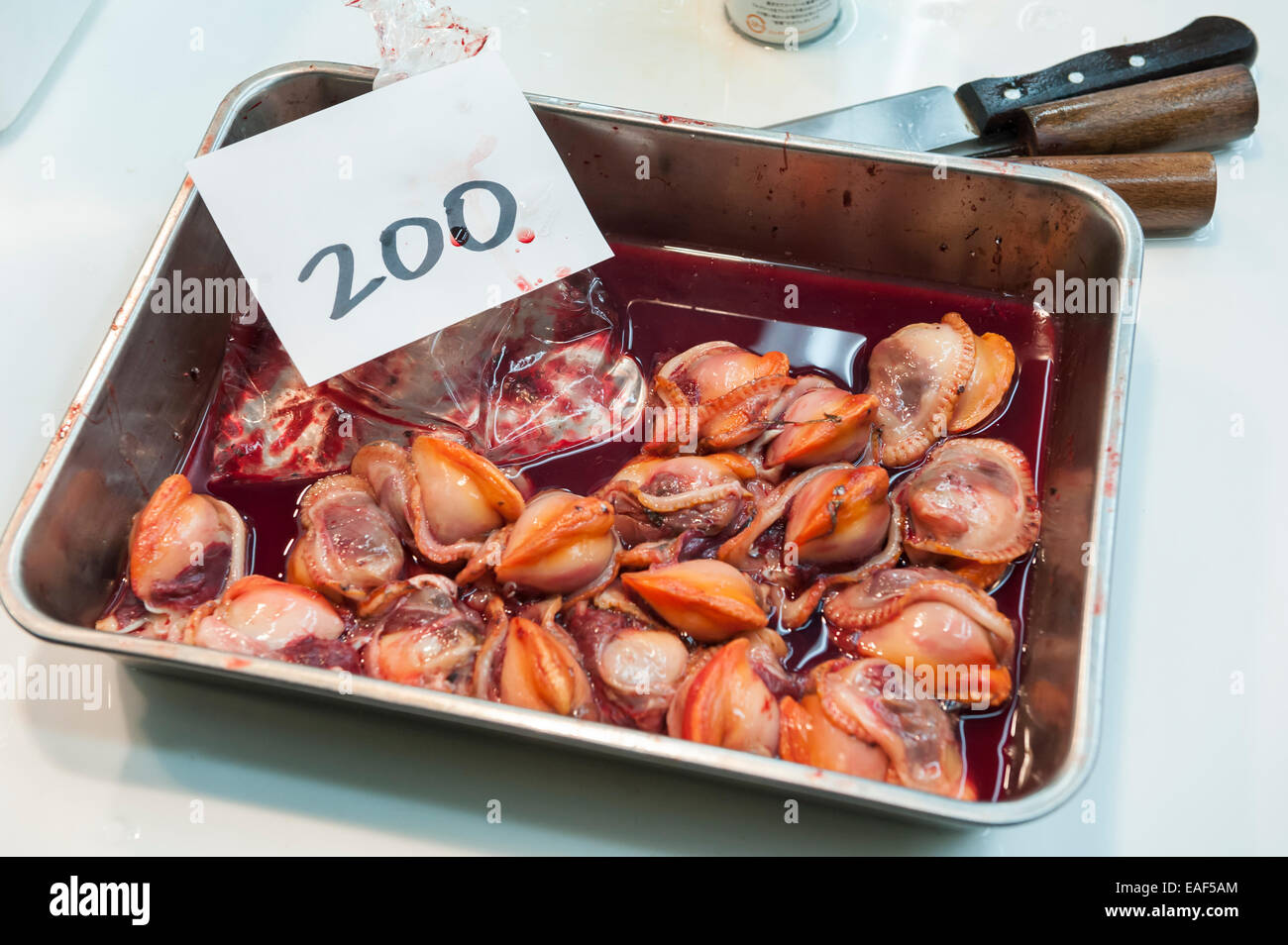 Mollusken für Verkauf, Tsukiji-Fischmarkt, Tokyo, Japan Stockfoto