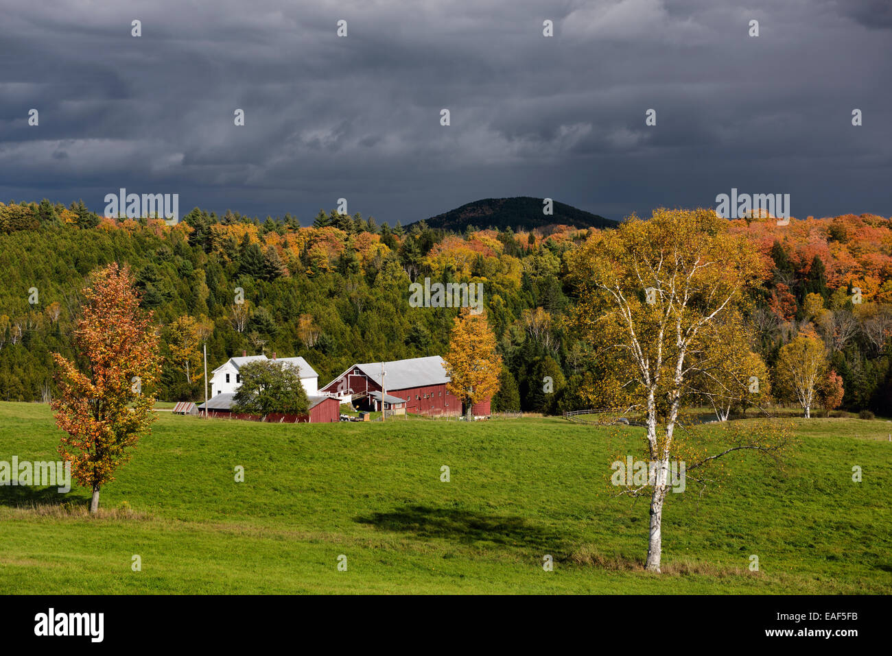 Sonnigen Pause auf Bauernhof mit dunklen Wolken unter Bäumen im Herbst Farbe Groton Vermont USA Stockfoto