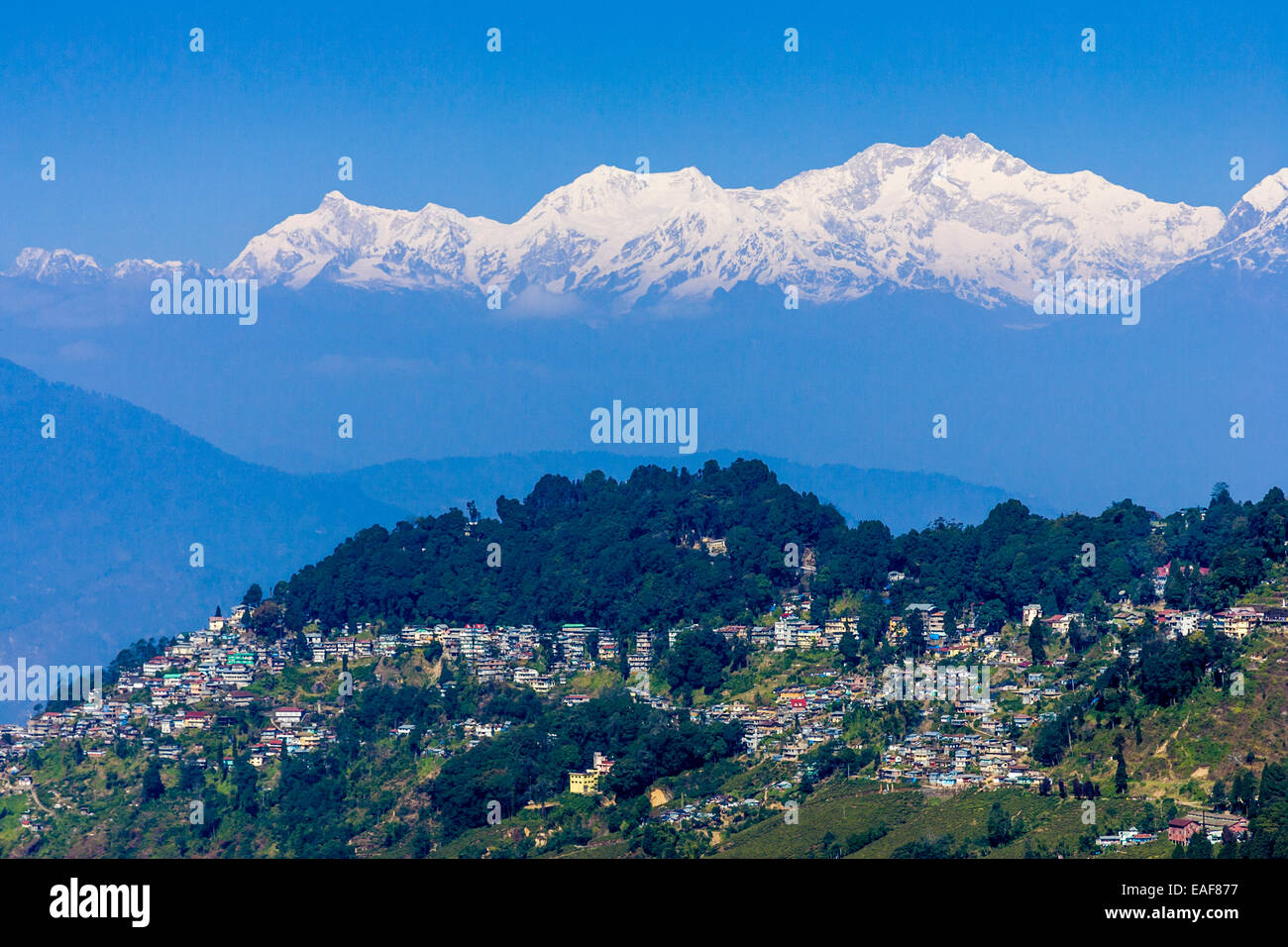 Darjeeling und der Kangchendzönga-Himalaya-Gebirge von Tiger Hill, Darjeeling, Westbengalen, Indien Stockfoto