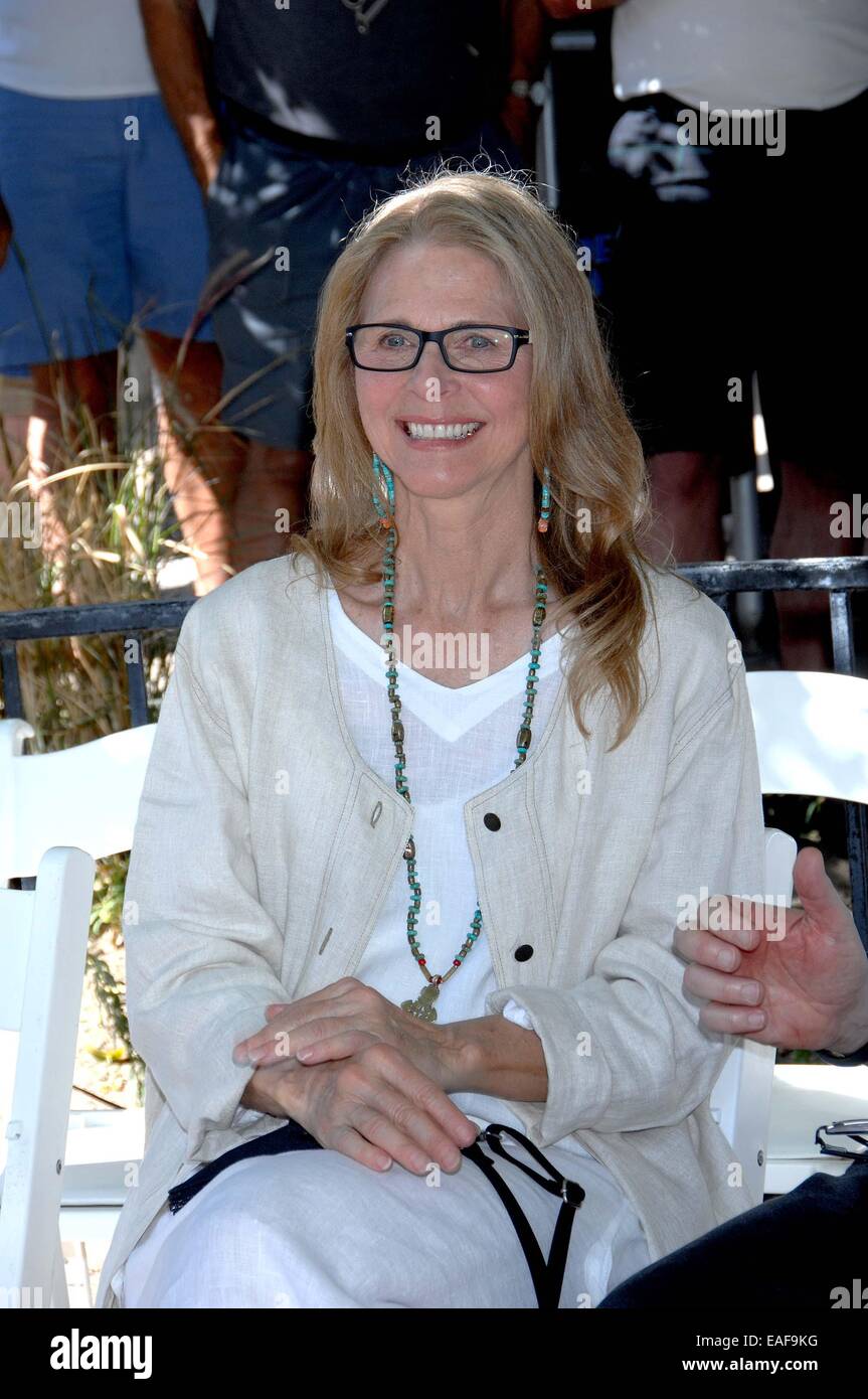 Lynda Carter akzeptiert ihr Stern auf der Palm Springs Walk of Stars Café Europa Featuring: Lindsay Wagner wo: Palm Springs, Kalifornien, USA bei: 11. Mai 2014 Stockfoto